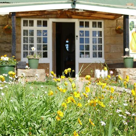 Peerboom Guesthouse Fouriesburg Eksteriør billede